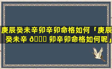 庚辰癸未辛卯辛卯命格如何「庚辰癸未辛 🐎 卯辛卯命格如何呢」